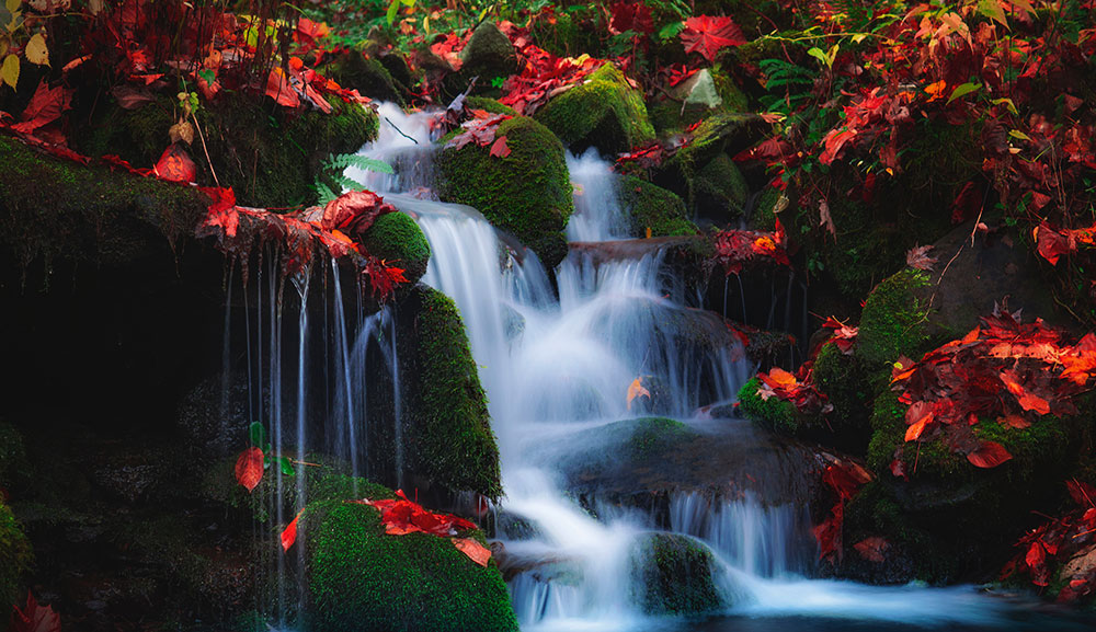 autumn slow shutter