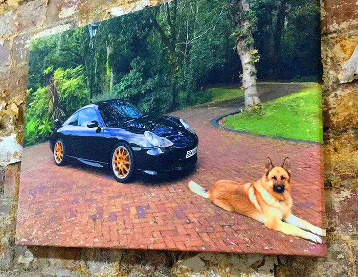 outdoor pet  photos on canvas