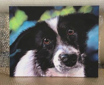 Turning your Instagram photos on to Canvas Prints