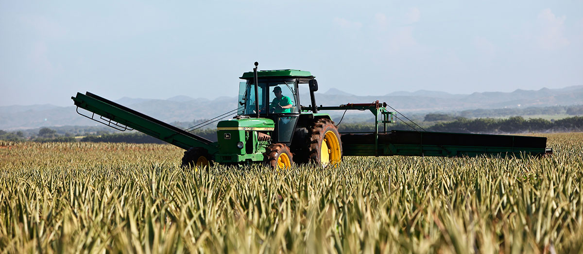 tractors-on-canvas