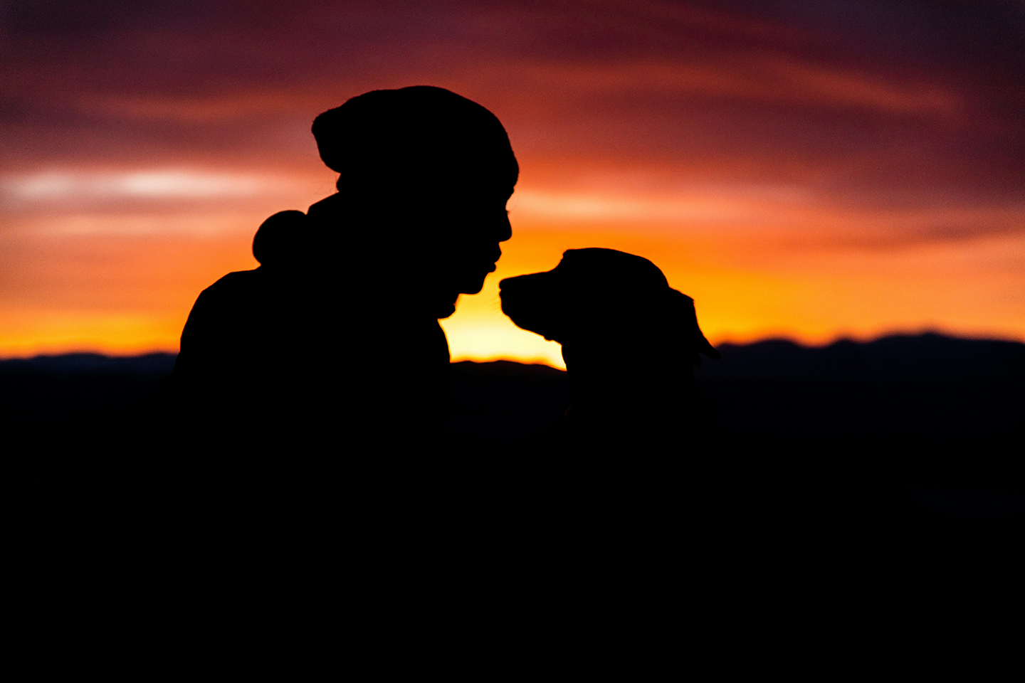 Photographing pets with a sunset