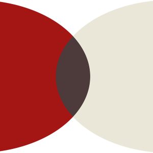 Geometric canvas art oval wall art