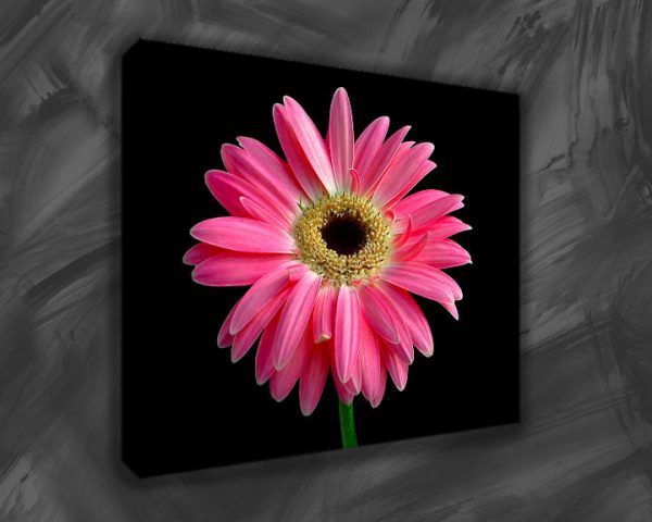 floral canvas art