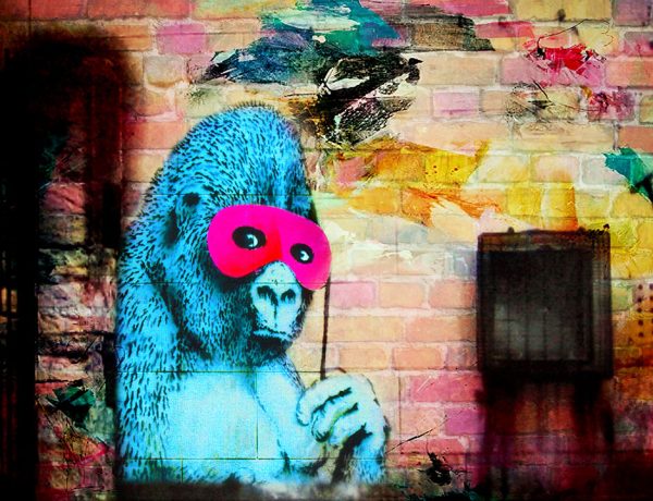 Gorilla in a Pink Mask