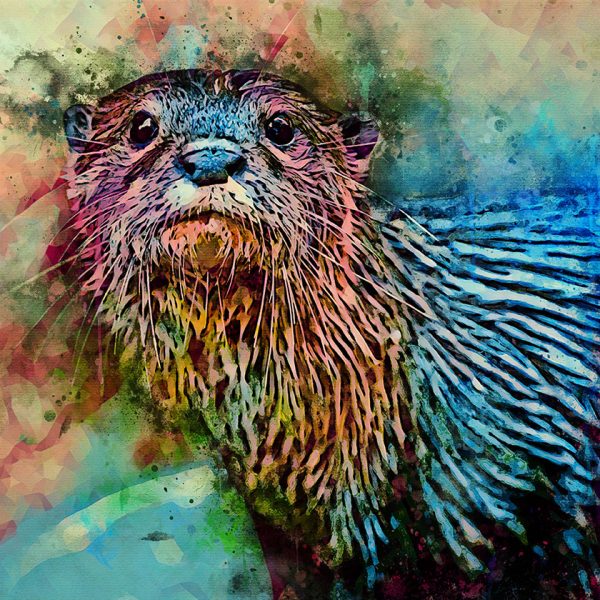 Otter Art