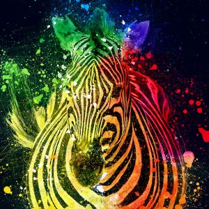 Zebra canvas art