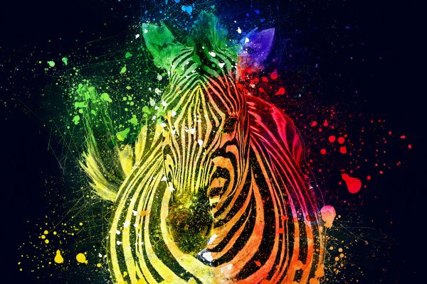 Zebra canvas art