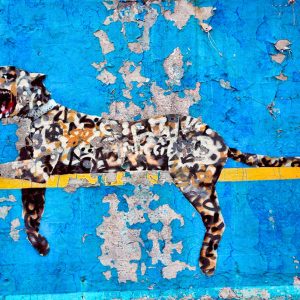 banksy bronx zoo canvas wall art