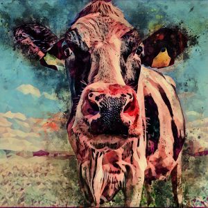daisy cow canvas art