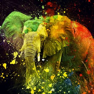elephant canvas wall art