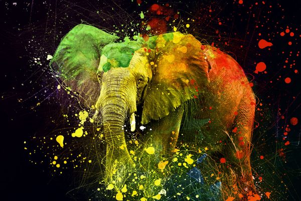 elephant canvas wall art