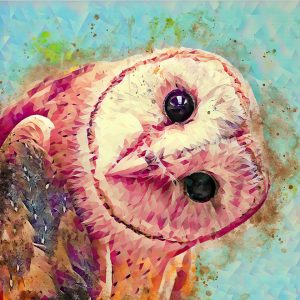 owl canvas artwork