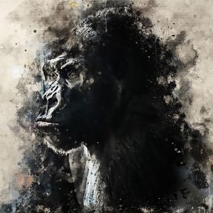 gorilla canvas wall art