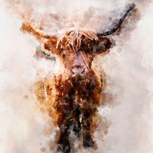 Highland Cow Wall Art canvas prints