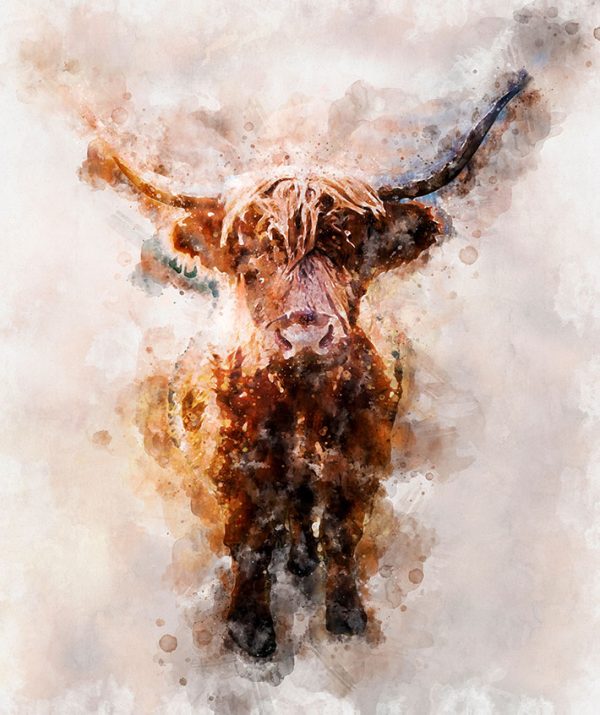 Highland Cow Wall Art canvas prints