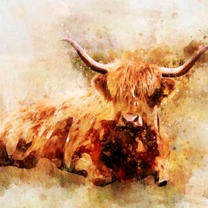 highland cow canvas art