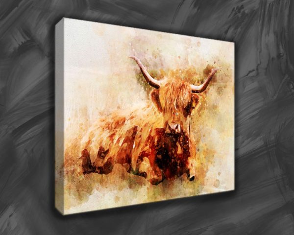 highland cow on canvas