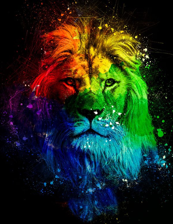 lion canvas art