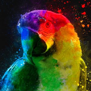 parrat canvas wall art