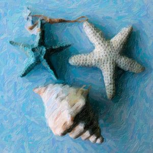 Seashells Beach Canvas Art