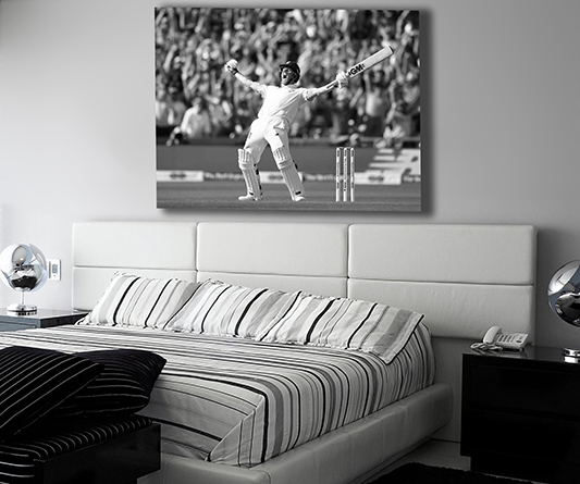 Cricket Canvas Prints