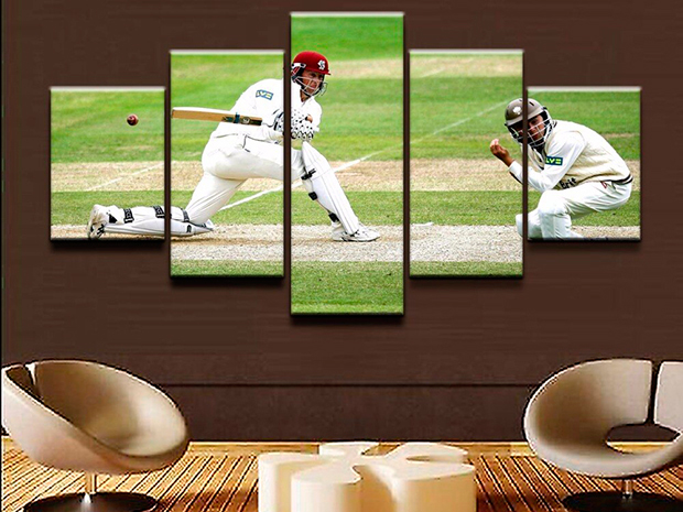 Cricket photos on to canvas prints