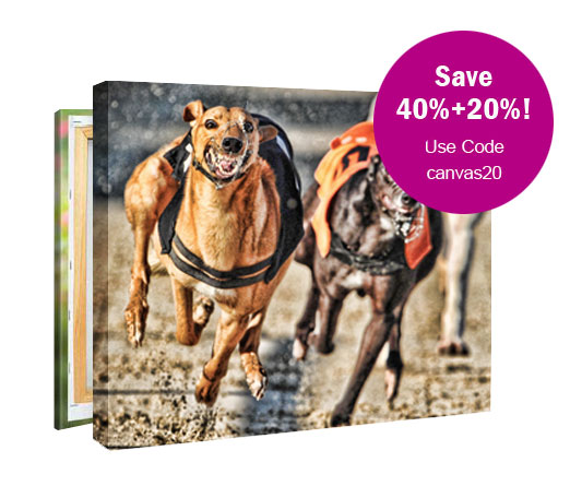 Greyhound Racing Canvas Prints